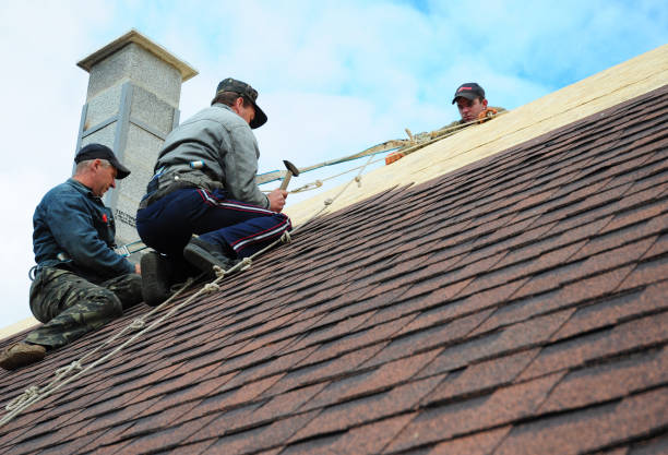 Best Roof Leak Repair  in Millville, UT
